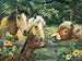 Ravensburger 12716 - Pferdegeflüster, 200 Teile XXL Puzzle