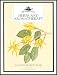Herbs and Aromatherapy (Practical Guide for the Aspiring Aromatherapist)