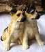 Sherratt and Simpson - German Shepherd Pups