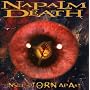 Inside the Torn Apart