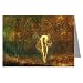 Twelve Assorted Vintage Fairy Note Cards Vol.1