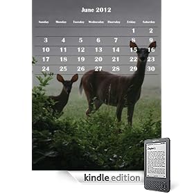 Five Year Calendar for Kindle (2009-2010-2011-2012-2013 with photos)