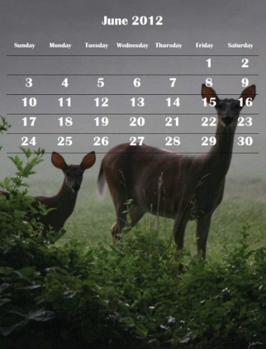 Five Year Calendar for Kindle (2009-2010-2011-2012-2013 with photos)