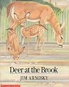 Deer at the Brook