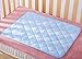 TTBOO Waterproof Resuable Baby Changing Pad Liners Blue