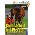 Bodenarbeit mit Pferden: Abwechslungsreiche �bungen, die Spa� machen