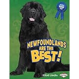 Newfoundlands Are the Best! (The Best Dogs Ever)