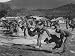 S. Vietnamese Army Troops Receiving Guerilla Warfare Training from Us Military Adviso...
