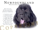 Newfoundland Black Human Trainer Mouse Pad Dog Mousepad