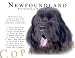 Newfoundland Black Human Trainer Mouse Pad Dog Mousepad