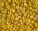 Yellow Sweet Corn Freeze Dried Survival Food - Giant #10 Can