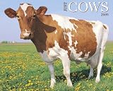 Just Cows 2009 Calendar (Just)