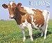 Just Cows 2009 Calendar