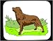 golden_retriever24golden retriever - Decorated Mouse Pad with brown standing pet dog