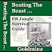 Image of Internet Marketing Survival Guide