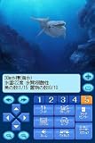 Kokoro ga Uruou Birei Aquarium DS: Kujira - Iruka - Penguin [Japan Import]