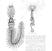 CHAETOPERUS, TUBE WORM Antique Print 1896