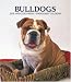 Bulldogs 2008 Hardcover Weekly Engagement Calendar
