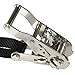 US Cargo Control, Stainless Steel Ratchet Strap Tie Down, 1 Inch Wide X 10 Foot Long, Black Tie Down Strap, Stainless Steel Ratchet, S Hook Tie Downs, Dependable Utility Straps to Secure Cargo