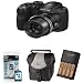 Fuji Finepix S2950 Digital Camera 18x Zoom + 4AA NiMh Batteries+Charger+Case+8GB High Speed Memory (Fujifilm Finepix S2950 HD 14MP 18x Zoom 3" LCD)