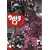 �E���g��Q Vol.4 [DVD]