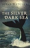 The silver dark sea