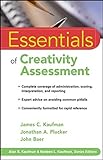 Essentials of creativity assessment