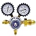 Uniweld R1563 - Nitrogen Regulator for Sludge Sucker CGA580 (5-175 PSI)