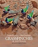 Grassfinches in Australia