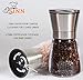Q's Inn Salt and Pepper Grinder Set - [Lifetime Warranty] Brushed Stainless Steel Salt & Pepper Mill with Glass Bottle - Adjustable Ceramic Mechanism - Best Shakers Pair for Healthy Cooking