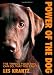 Power of the Dog: Things Your Dog Can Do That You Can't