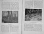 1905 Photograph Loon Duck Bird Nest Egg Hunting Sport
