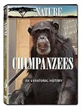 Nature: Chimpanzees - An Unnatural History