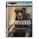 Nature: Chimpanzees - An Unnatural History