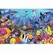 Underwater Floor Jigsaw Puzzle 48pc