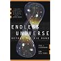 Endless Universe: Beyond the Big Bang