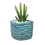 Turquoise Rustic Ceramic Basket Woven Pottery Style Succulent Planter Holder