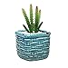 Turquoise Rustic Ceramic Basket Woven Pottery Style Succulent Planter Holder