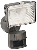 Bronze ENERGY STAR Dark Sky Motion Sensor Security Light