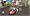 Mario Kart Wii with Wii Wheel