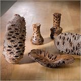 Banksia Pod