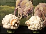 Review IWDSC  / Enesco Home Grown Sheep Salt and Pepper Shakers