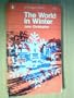 World in Winter