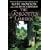 The Forgotten Garden