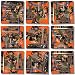 B Dazzle San Antonio Scramble Squares 9 Piece Puzzle