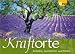 Kraftorte. Anhalten, durchatmen, wohlf&uuml;hlen