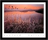 Sanford Agliolo (Geese over Marsh) Framed Art Poster Print - 16 X 20