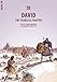 David: The Fearless Fighter (Bible Wise)