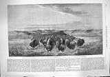 1862 つの群れのバイソンの交差の河川底地の甲革ミズーリ