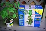 Topsy Turvy Tomato Planter